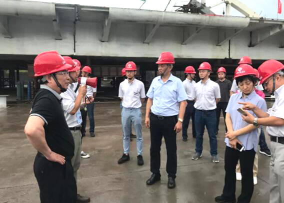 1530668272810245.jpg 2.jpg